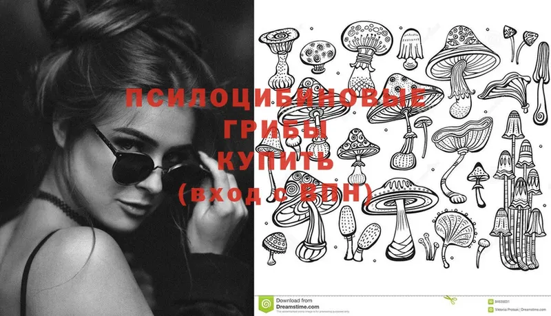 Псилоцибиновые грибы Psilocybine cubensis  Каргополь 